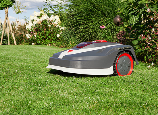 Mähroboter auf gepflegtem Rasen – lohnt sich der Kauf?