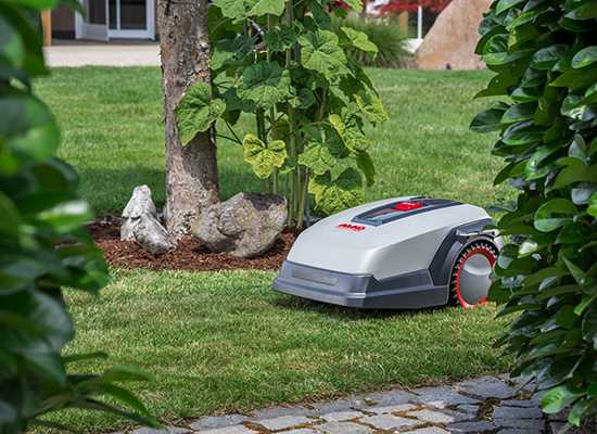 47+ Roboschaf Rs Pro 3, Die roboschaf rs pro modelle zeichnen sich
