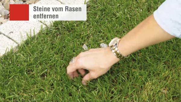 AL-KO-Robolinho-Rasen-vorbereiten-Steine-entfernen