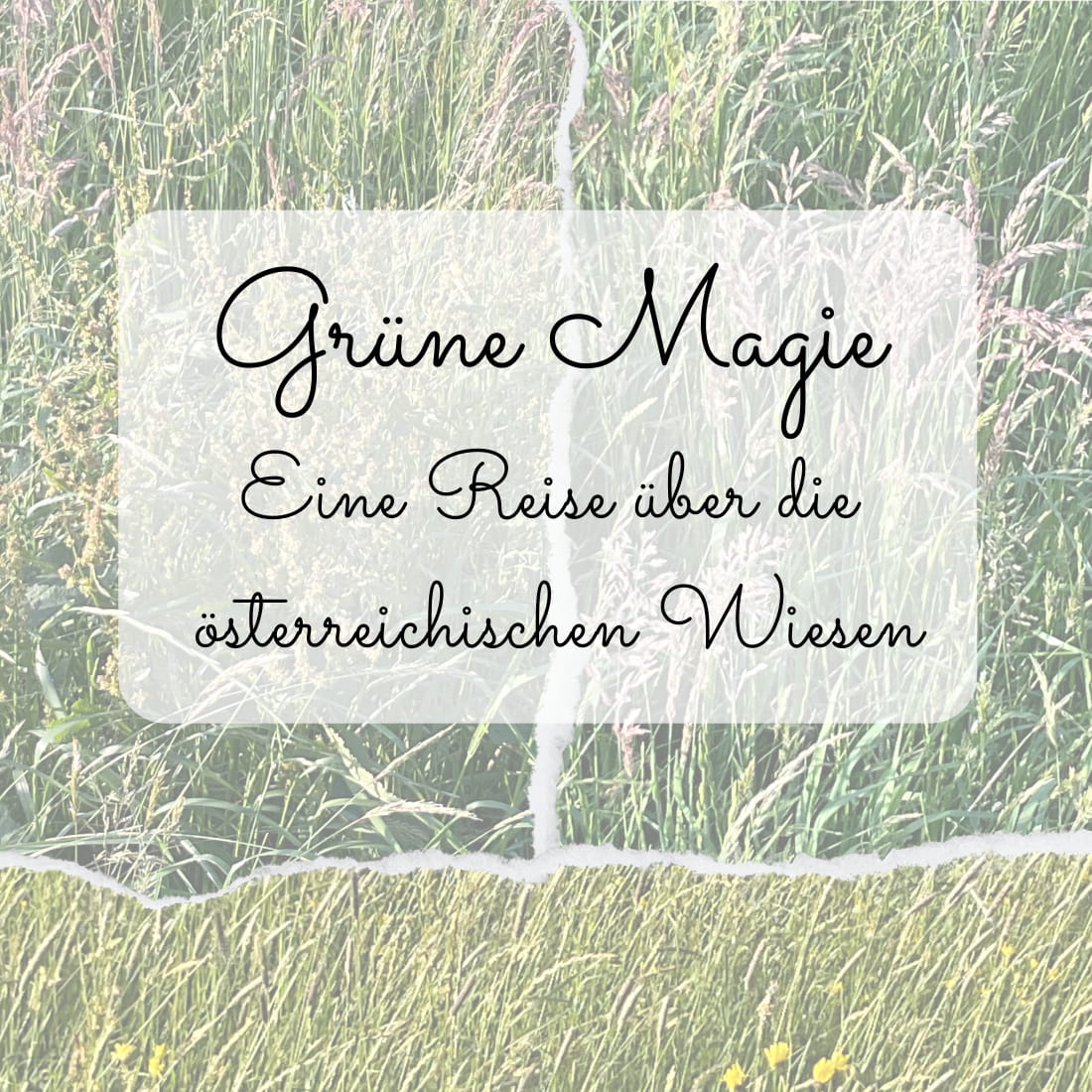 Gruene_Magie_Eine_Reise_durch_die_oesterreichischen_Wiesen kostenlos downloaden