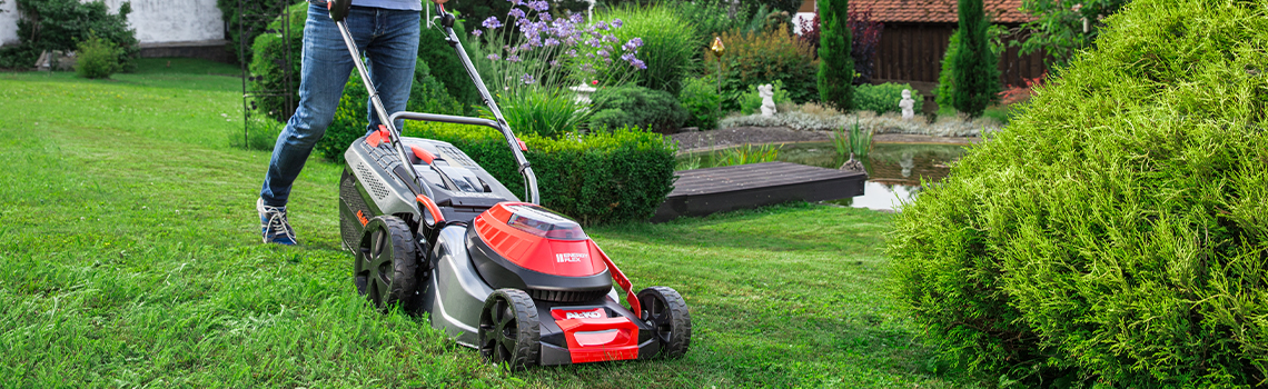 Saftig grüner Rasen durch richtiges Düngen